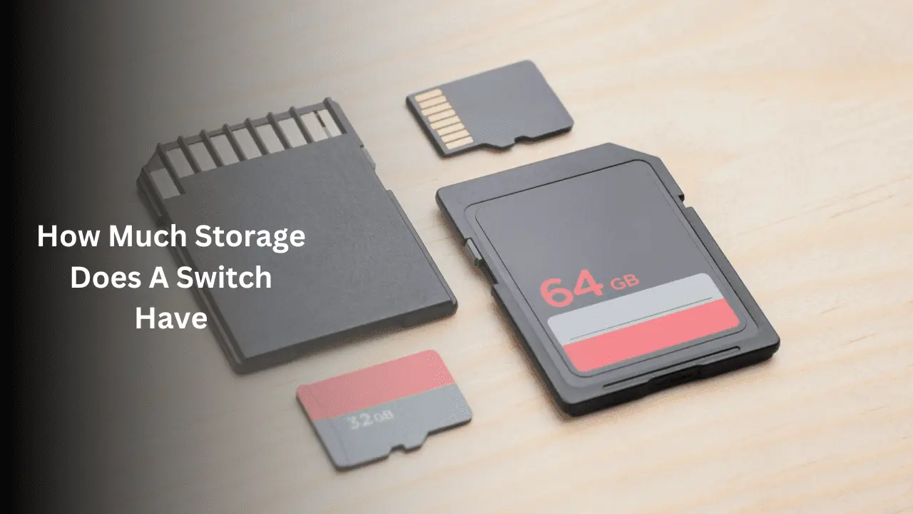 How Much Storage Does A Switch Have